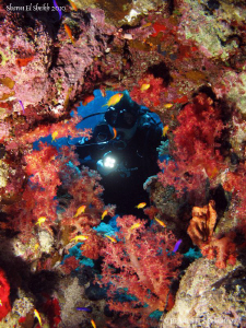 Beautiful colors of the Red Sea. by Bea & Stef Primatesta 